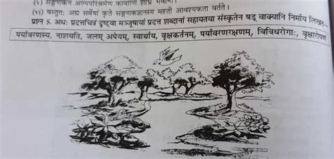 chitra varnan in sanskrit - Brainly.in