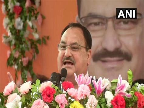 BJP doesn't do politics of dynasty: Nadda