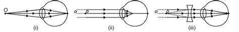 NCERT Class 12 Physics Chapter 9 Notes Ray Optics and Optical ...