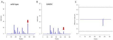 Identification and In Silico Characterization of a Novel COLGALT2 Gene ...
