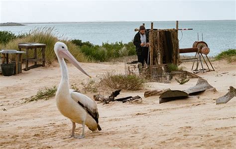 Get set for adventures with Storm Boy, in cinemas 17 January!