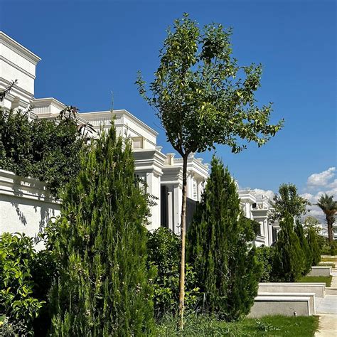 BASHER CHALABI REAL ESTATE (Zakho) - Hotel Reviews & Photos - Tripadvisor