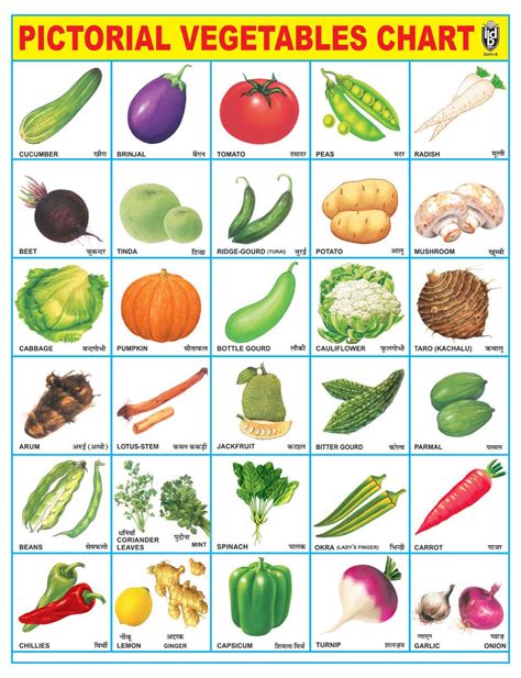 Buy IBD Pre-School Toddler's PVC Laminated Educational Vegetable Chart ...