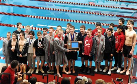 Swim Gallery Aleks 的图像结果