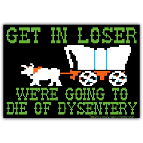We're Going to Die of Dysentery "Oregon Trail" Car Magnet | The ...