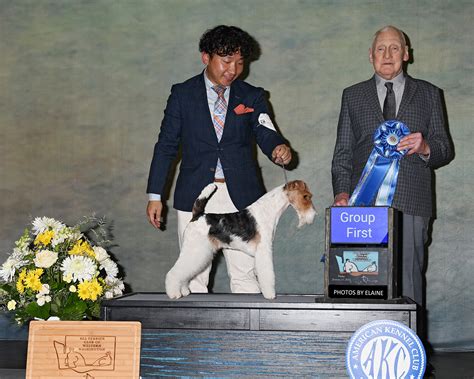 Past Shows — ATCWW Web Site