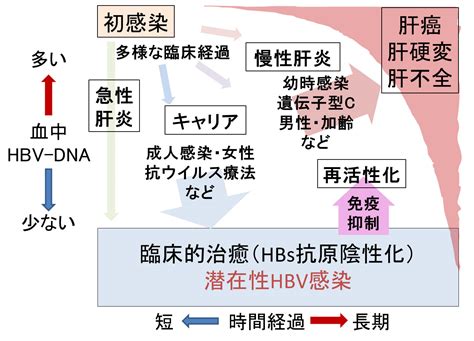 ABO式血液型 - ABO blood group system - JapaneseClass.jp