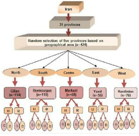 Read the excerpt from The Odyssey which central idea should be included ...