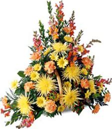 Auxter Funeral Home, 1105 Castalia Street, Bellevue, OH 44811 - info