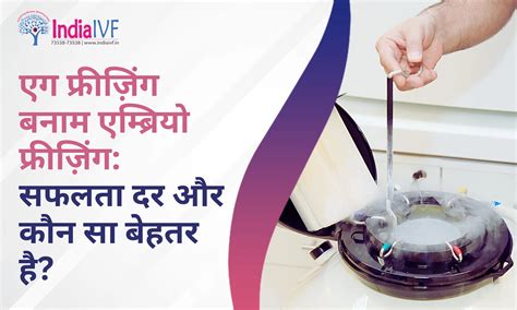 Understanding "Uterus is Gravid" - India IVF Fertility