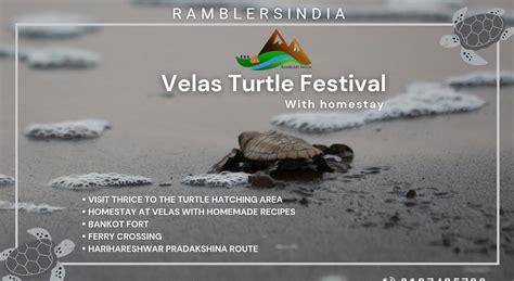 Velas Turtle Festival