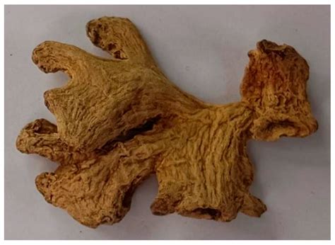 Sulfur-Fumigated Ginger Identification Method Based on Meta-Learning ...