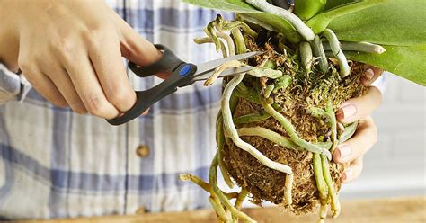 Image result for Life Hacks Craft
