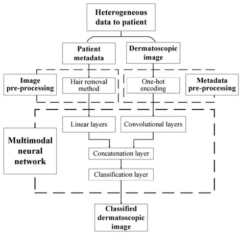 System for the Recognizing of Pigmented Skin Lesions with Fusion and ...