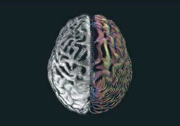 Image result for Mind Exploding Back Cover