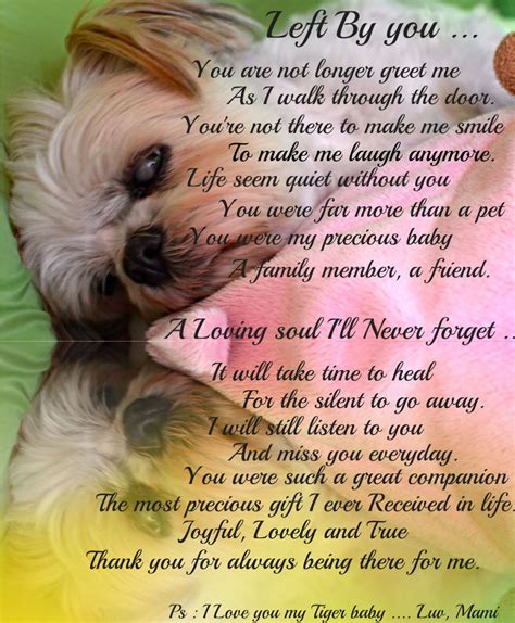 Thank You Message for My Dog Who Passed Away - Dog Show TV