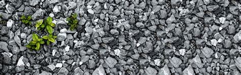 Image result for Multicolor Screen