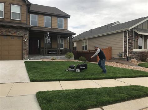 Watts Home Frederick Colorado at Christy Calvin blog