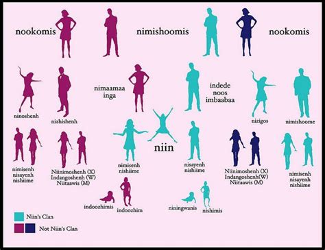 Native American Tribes Traditional Kinship Systems And Societal Roles