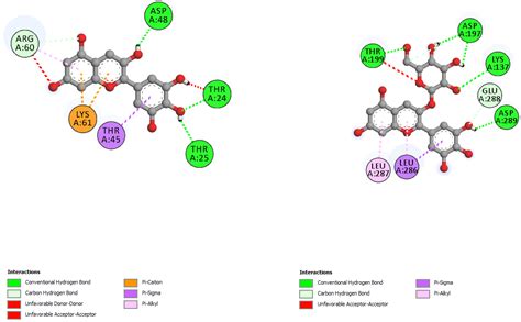 Solanaceae Family Phytochemicals as Inhibitors of 3C-Like Protease of ...