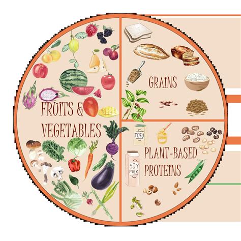 Image result for Cup Plate Method Exp
