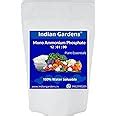 Indian Gardens - MAP Plant fertilizer | Soil health booster |Eco ...