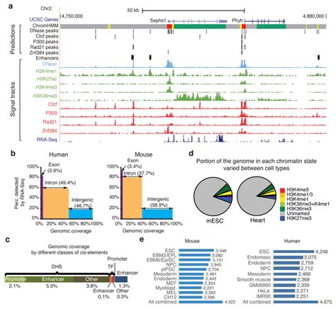 Image result for ENCODE Genome