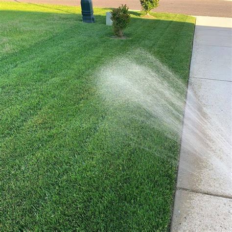 Should I Water My Grass Today at Kathleen Flores blog