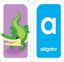 Flash Cards for Kids Alphabet Toddlers Early India | Ubuy