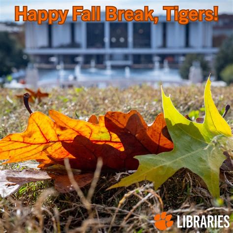 Clemson Libraries | Cooper Library will have adjusted hours for Fall ...