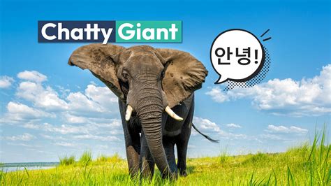 Six Flags' Shock Wave: Experience The Most Extreme G-Forces Of Any US ...