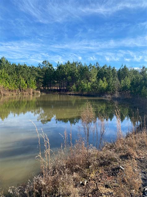 552 Gilchrist Road, Plum Branch, SC 29845 | Land.com