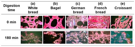 Observation and Analysis of In Vitro Digestibility of Different Breads ...
