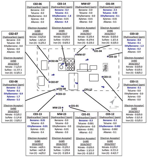 Combined Use of Diagnostic Fumarate Addition Metabolites and Genes ...