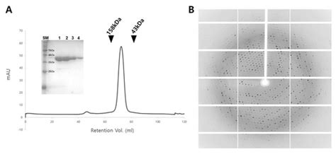 Crystal Structure of Anthranilate Phosphoribosyltransferase from ...