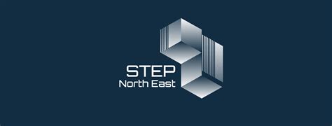 Step Support 的图像结果