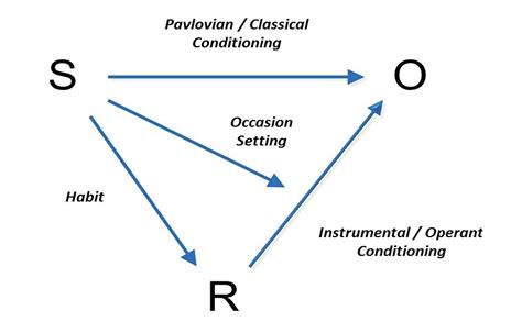 Image result for Associative Learning Examples