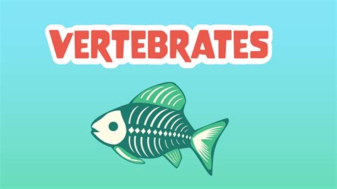 Vertebrates Facts for Kids - 5 Very Interesting Facts