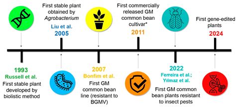 Genetic Transformation of Common Beans (Phaseolus vulgaris ...