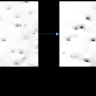 Image result for Classification of Image Processing Algorithm