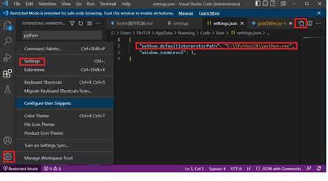 Python Build in vs Code 的图像结果