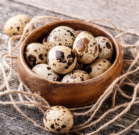 Huevos De Codorniz: Valor Nutricional Y Beneficios Mejor, 58% OFF