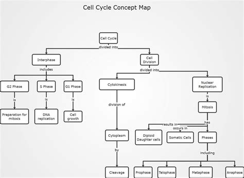 Cell Cycle Concept Map Biology 的图像结果