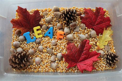 Leaf Sensory Bin | Sensory bins, Fall sensory bin, Preschool activities