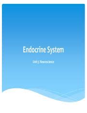 Crash Course Endocrine System 的图像结果