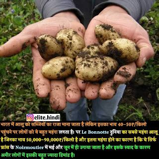 Daily Facts in Hindi | रोजाना नये रोचक तथ्य