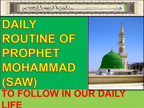 Image result for Prophet Muhammad Daily Routine