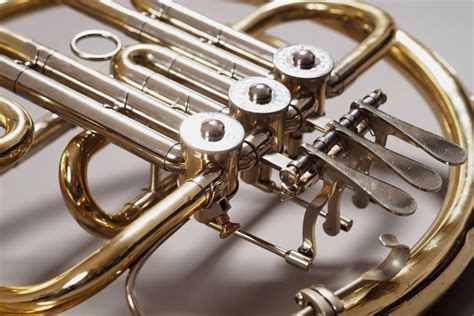 Image result for Beautiful Musical Instruments