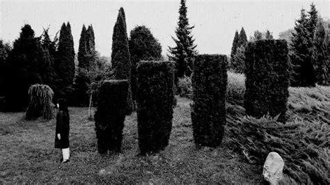 Image result for Erickson Inferiority Complex