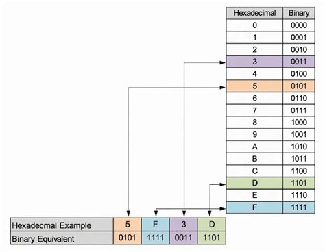 Number System in PLC Explained | Binary, Decimal, Hexadecimal & Data ...